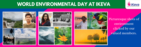 Environmental Day at iKeva